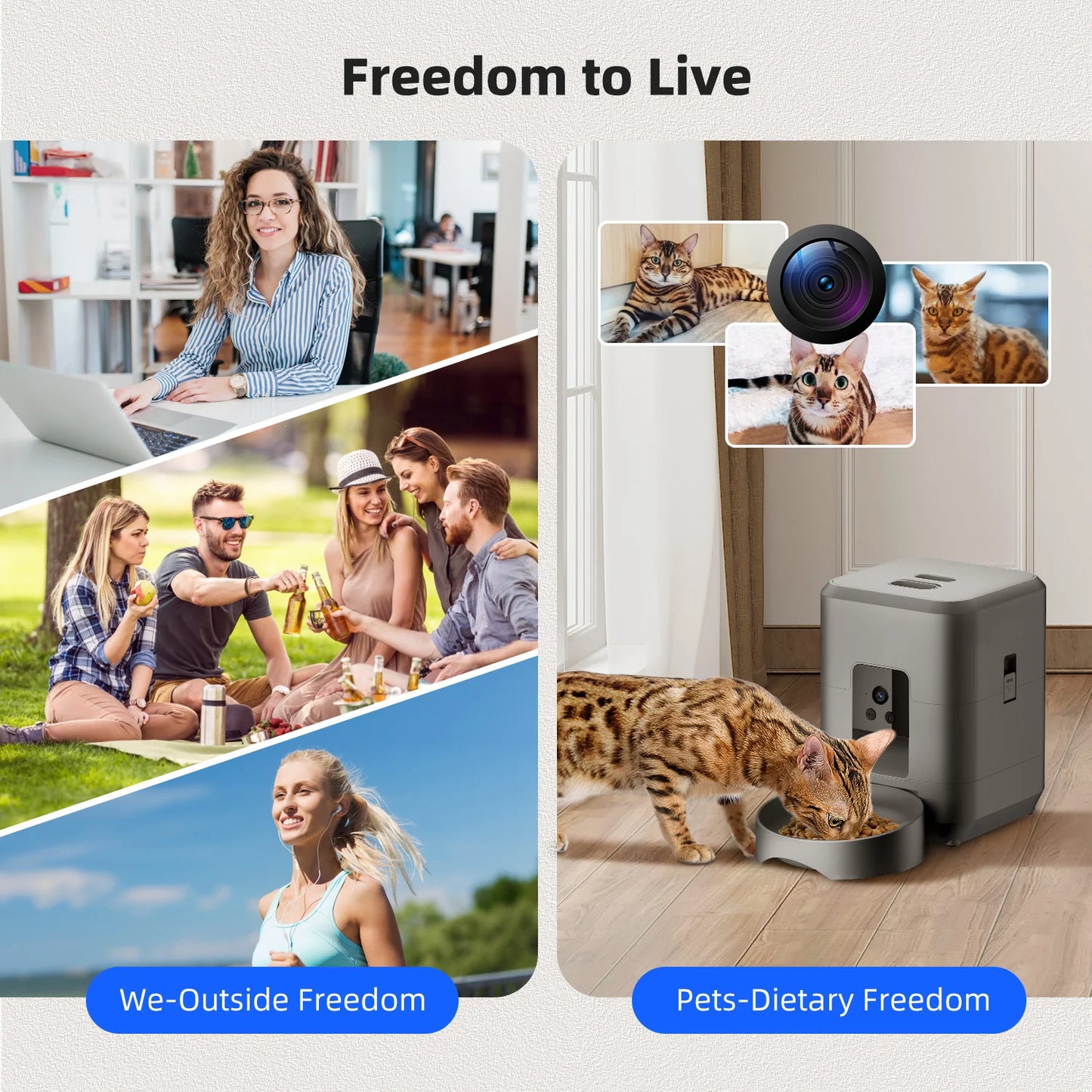 2.4G WiFi Automatic Cat Feeder with Camera Video with Night Vision 2L Automatic Pet Feeder Smart Dog Feeder Cat Food Dispenser